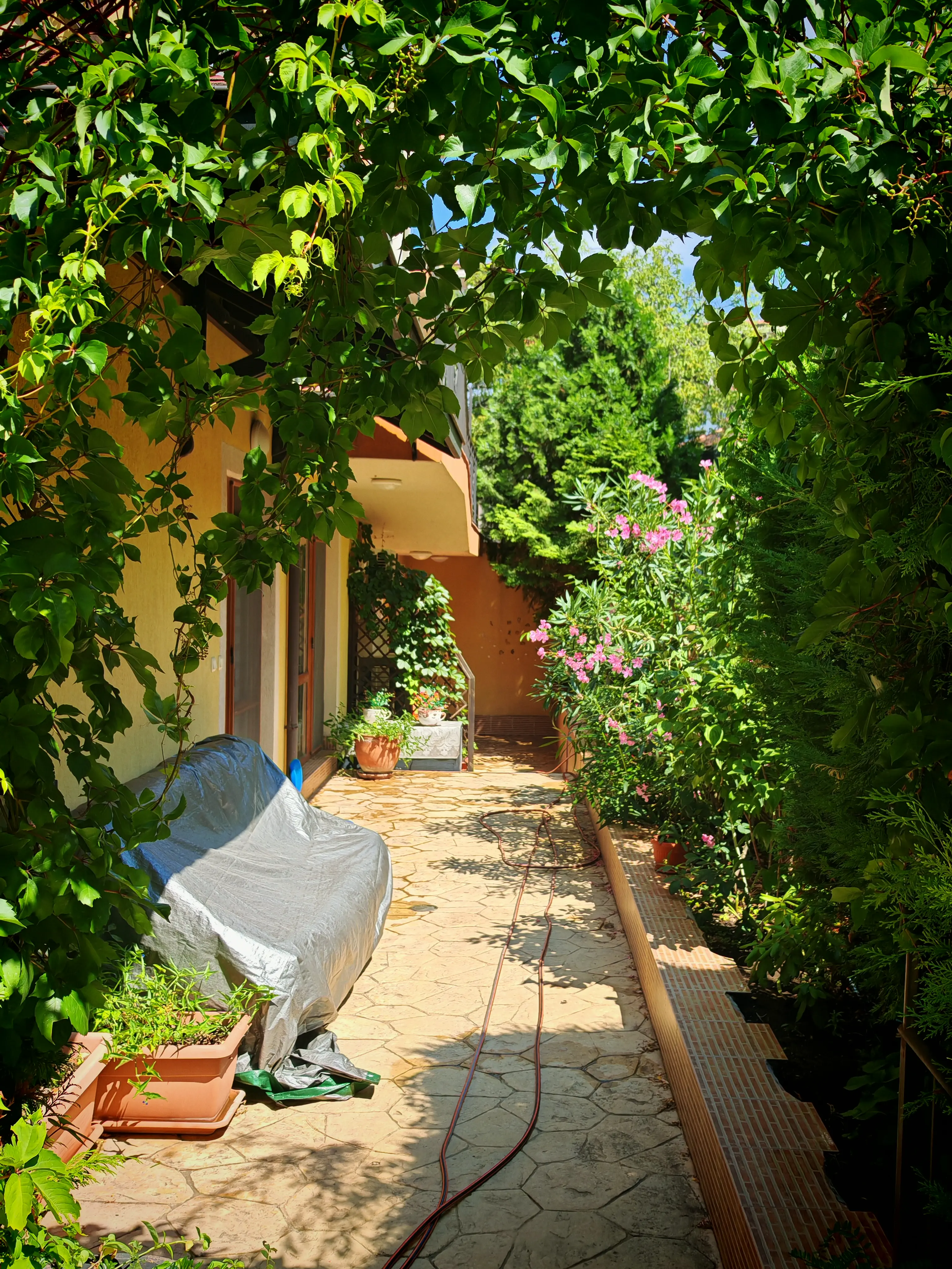 Двухкомнатная квартира в комплексе Siana