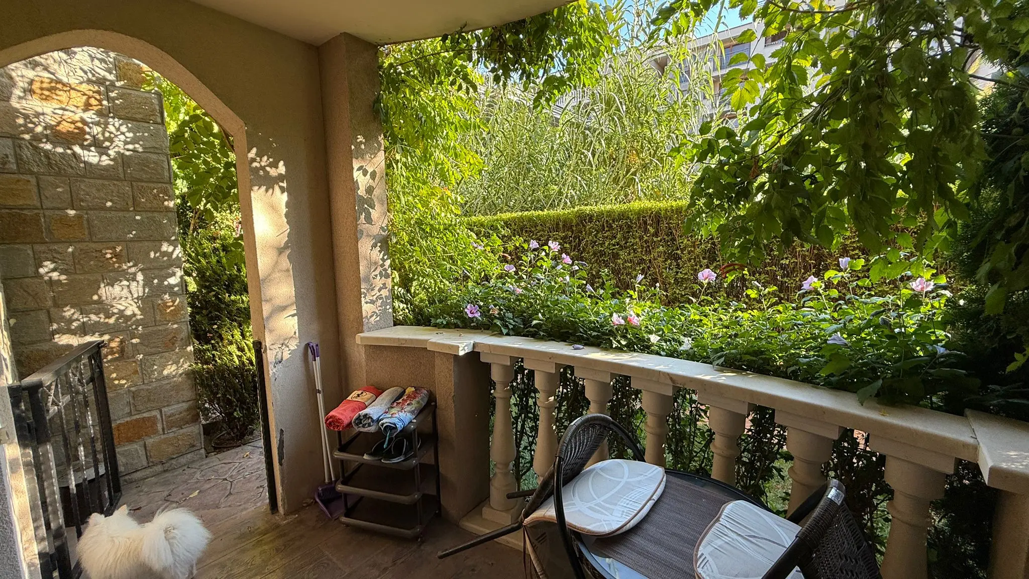 Студия в комплексе Cascadas Family Resort (блок 6)