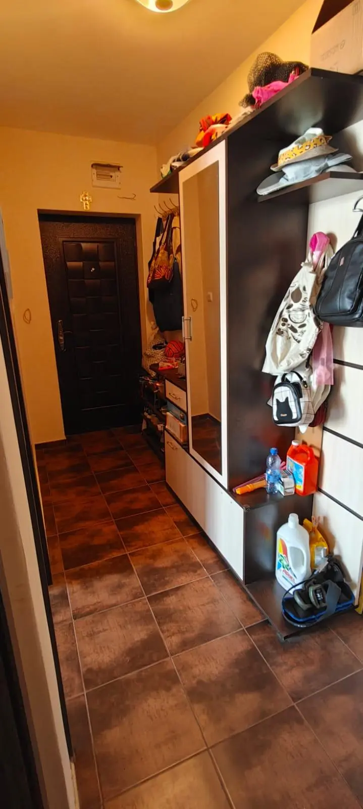 Двухкомнатная квартира в Сарафово, Бургас