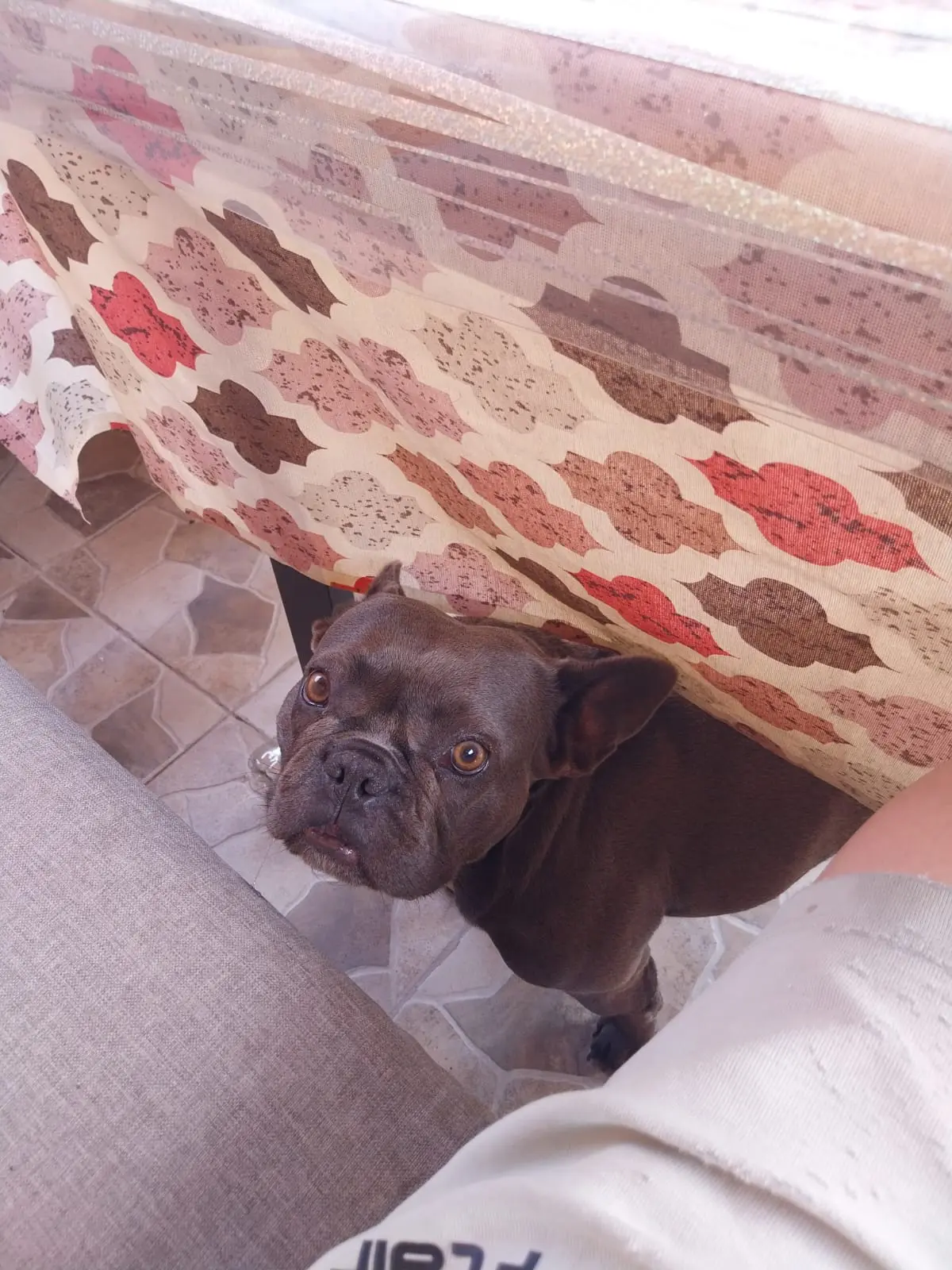 Одноэтажный дом в районе Рудник, Бургас